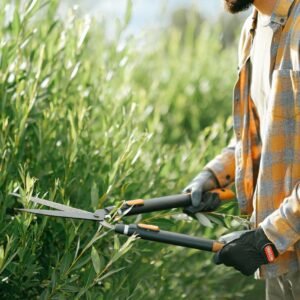 Close-up of a gardener in plaid shirt trimming green bushes with shears outdoors on a sunny day.