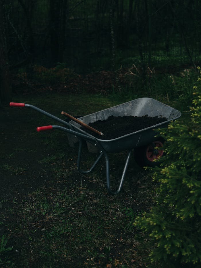 servicios de jardinería Málaga